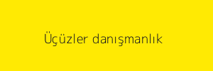 Üçüzler danışmanlık 